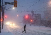 Cold alerts could soon break in southern Ontario, but predicted to return next week