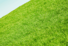 Barrie approves remote-controlled mowing for steep slopes