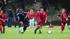 Barrie Sport Fields
